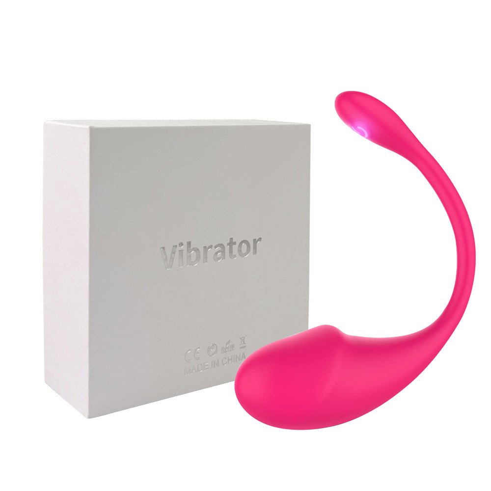 App Controlled Rechargeable Love Egg Vibrator - Playful Cakes